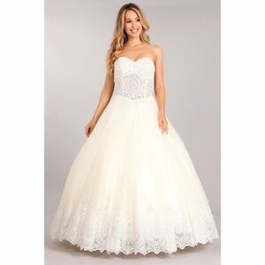 Off white lace ballgown dress